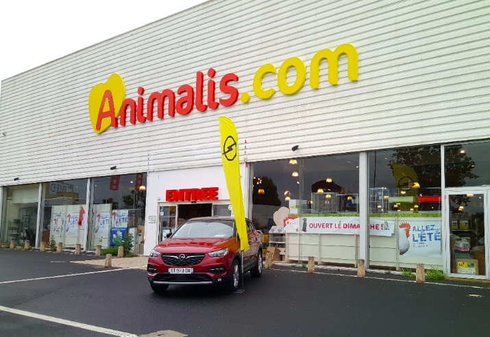 Animalis