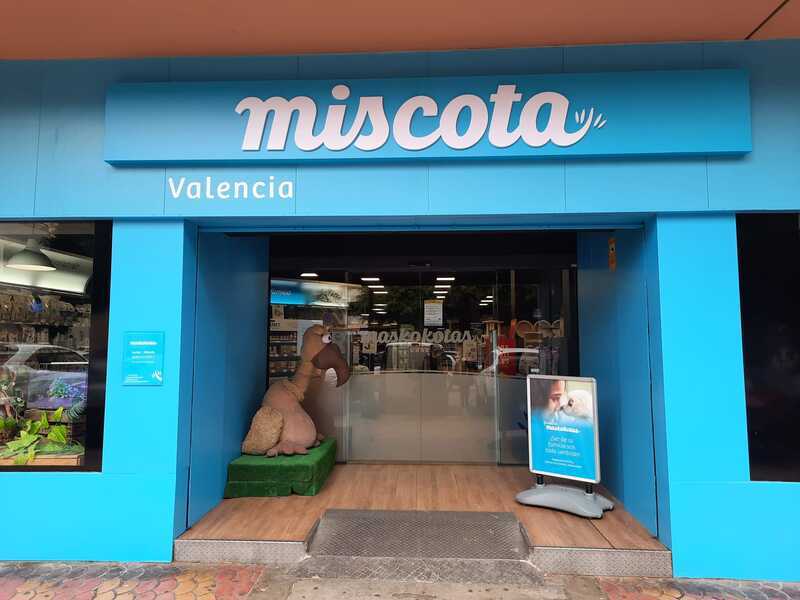 Maskokotas ( Valencia)