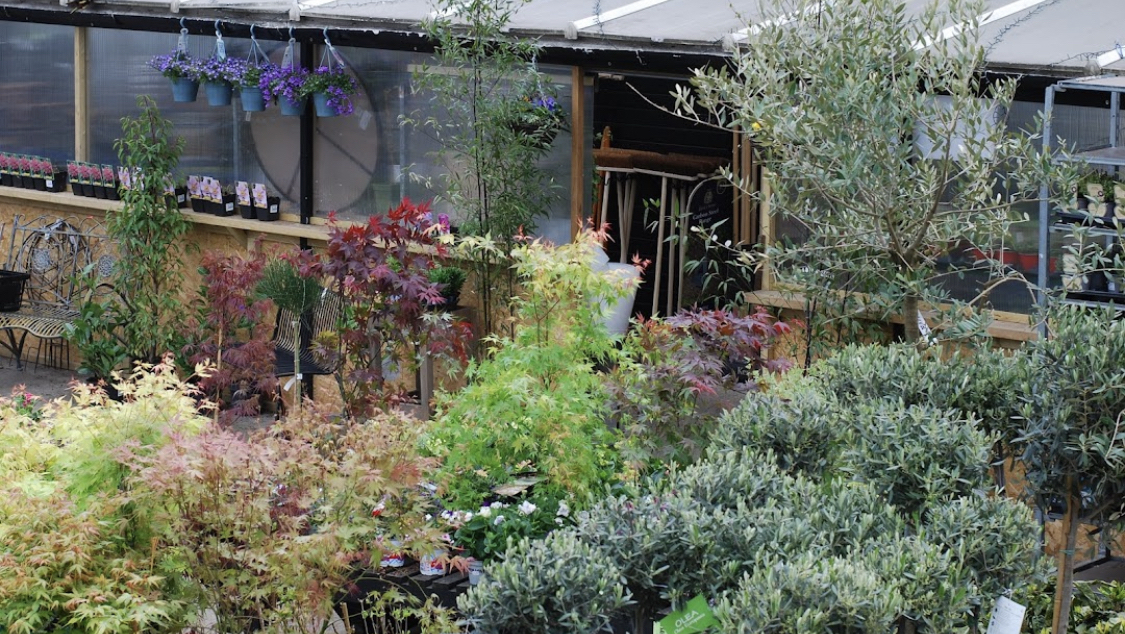 Lancasters Home & Garden