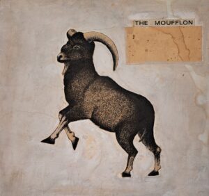 Moufflon Bookshop