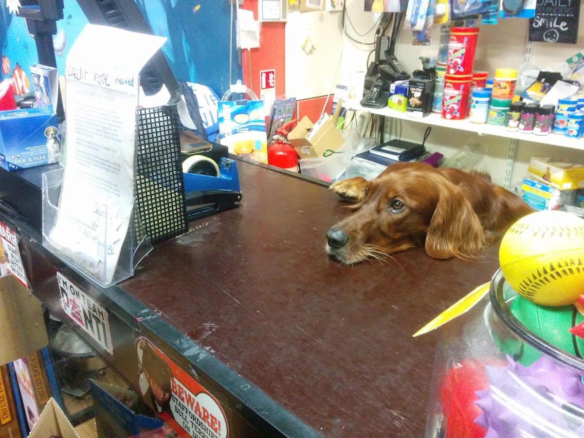 Shauna's Pet Shop