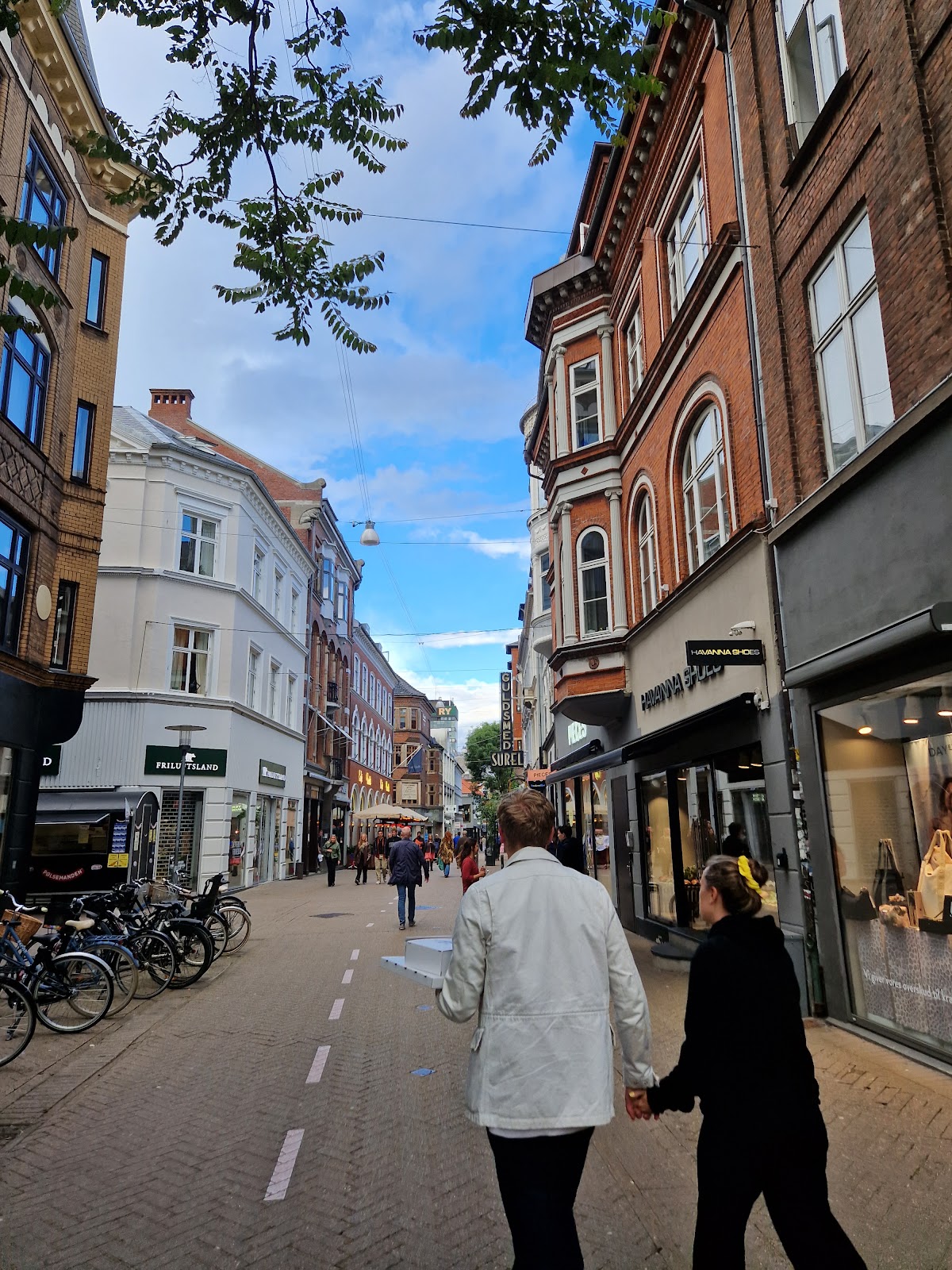 Friluftsland