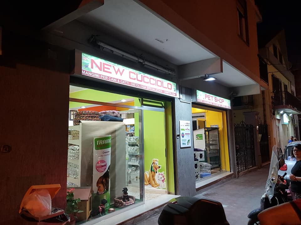 New Cucciolo 