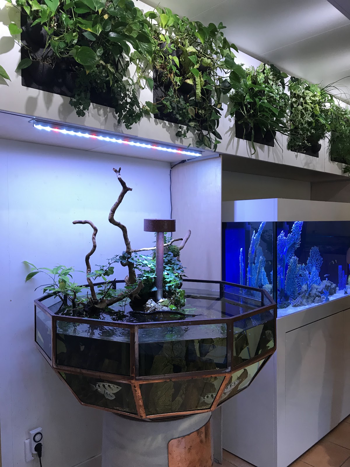 Akvarie-Leasing AB