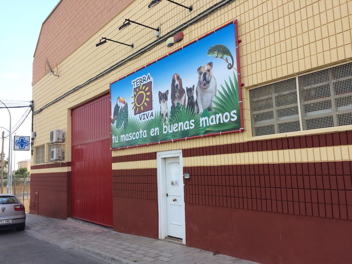 Terraviva Babel