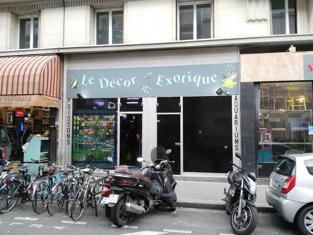 Le decor exotique