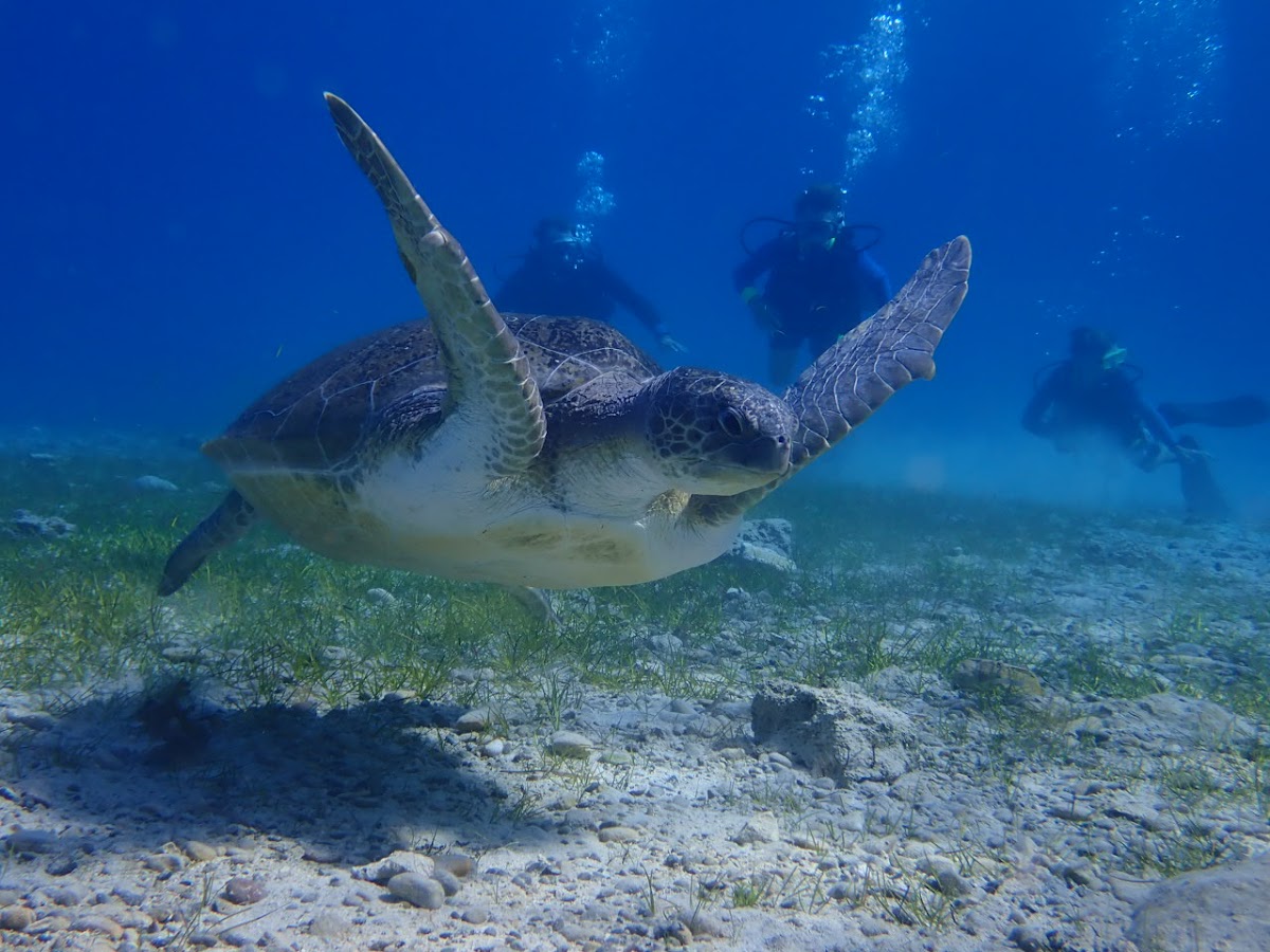 Dive Stop Premier Scuba Centre