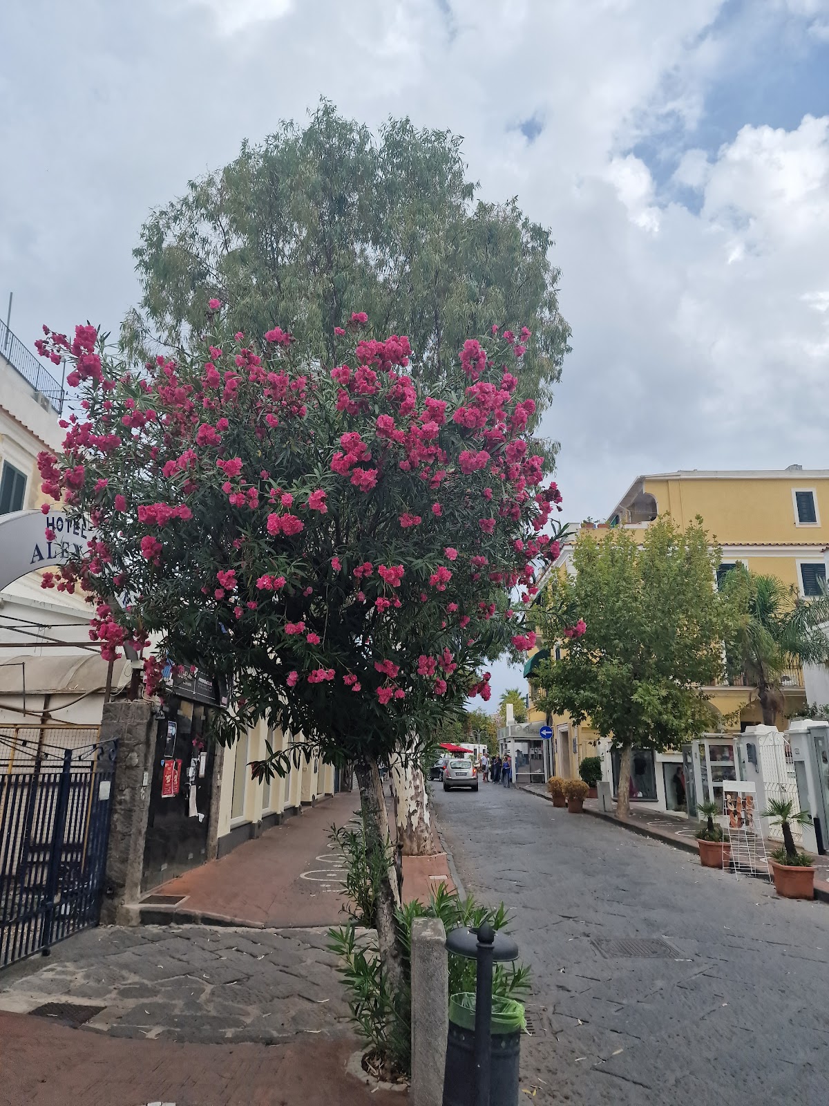 La Caprese Piu'
