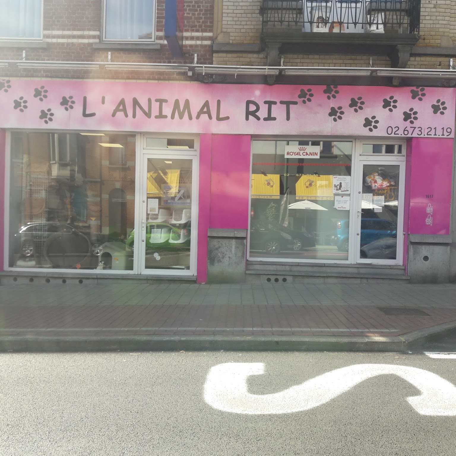 L'animal rit