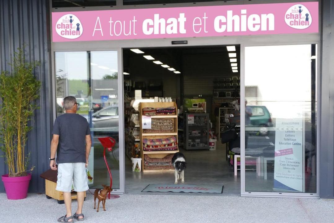 A TOUT CHAT ET DOG