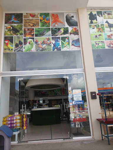 Toucan Pet Center