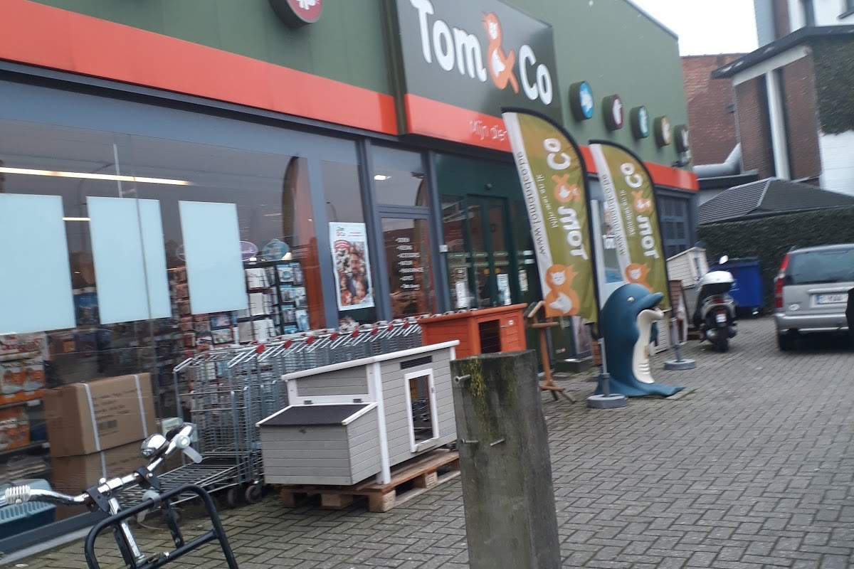 Tom&Co Schoten