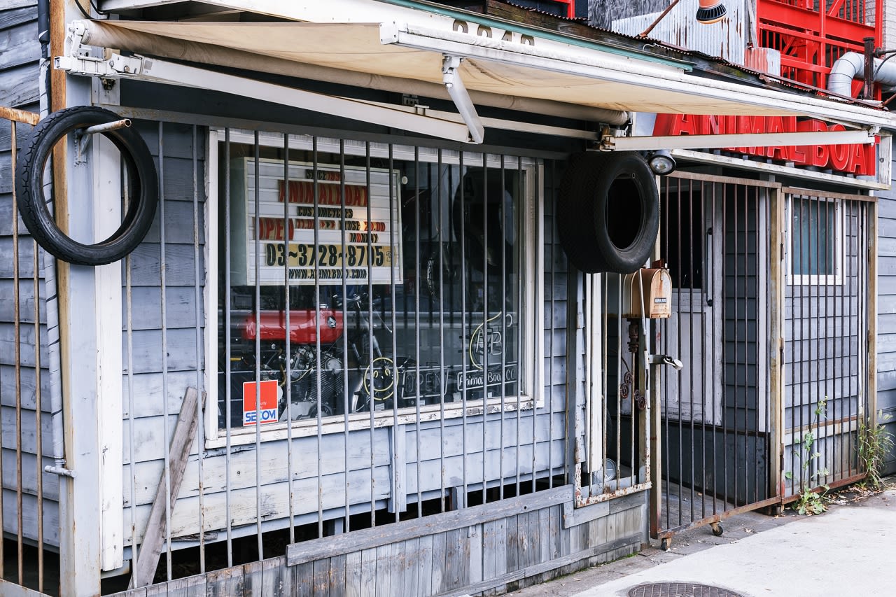 Animal Boat Custom Cycles