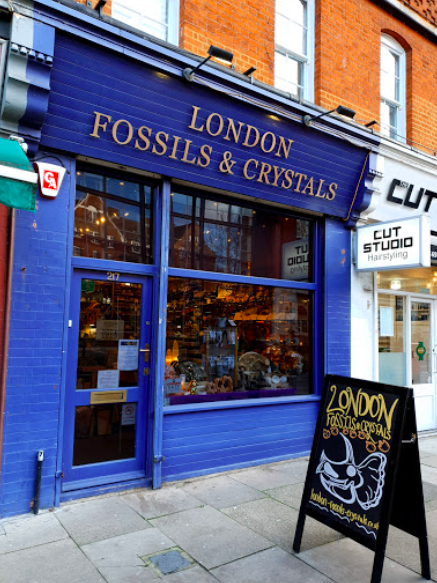 London Fossils and Crystals