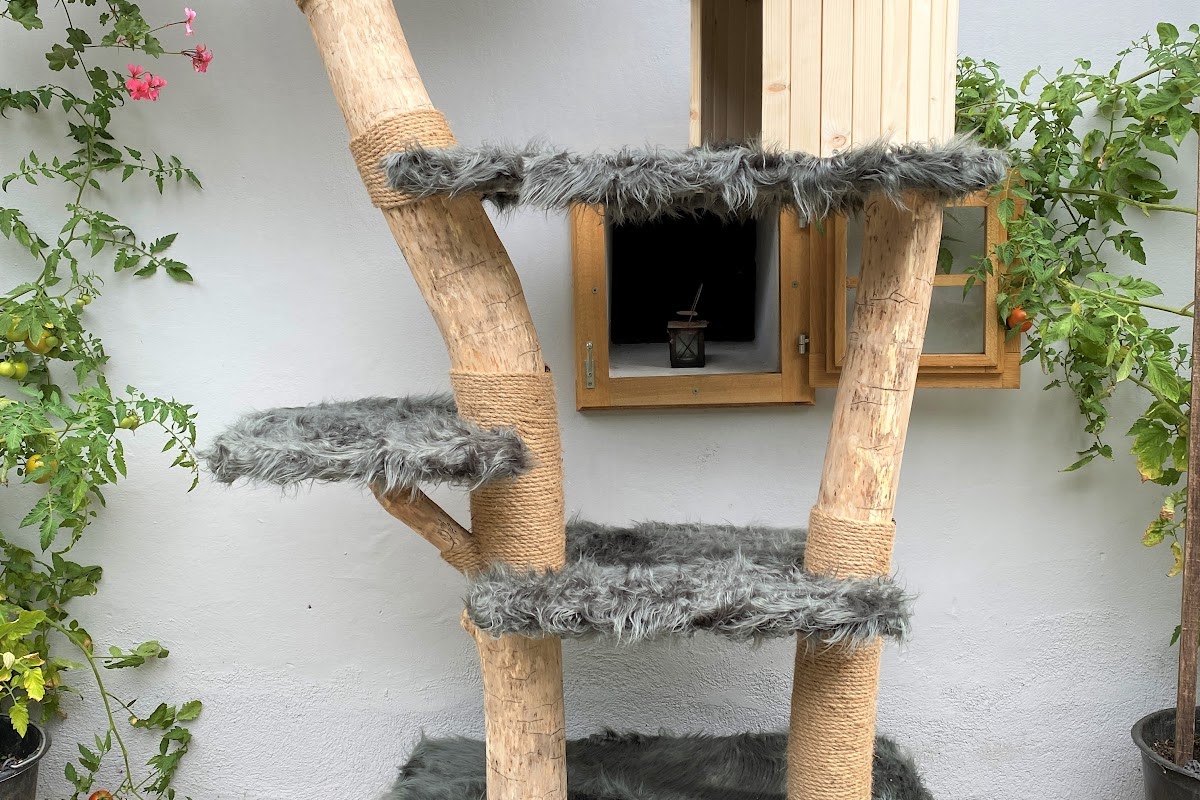 Katzentraum Naturkratzbäume