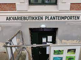 Planteimporten