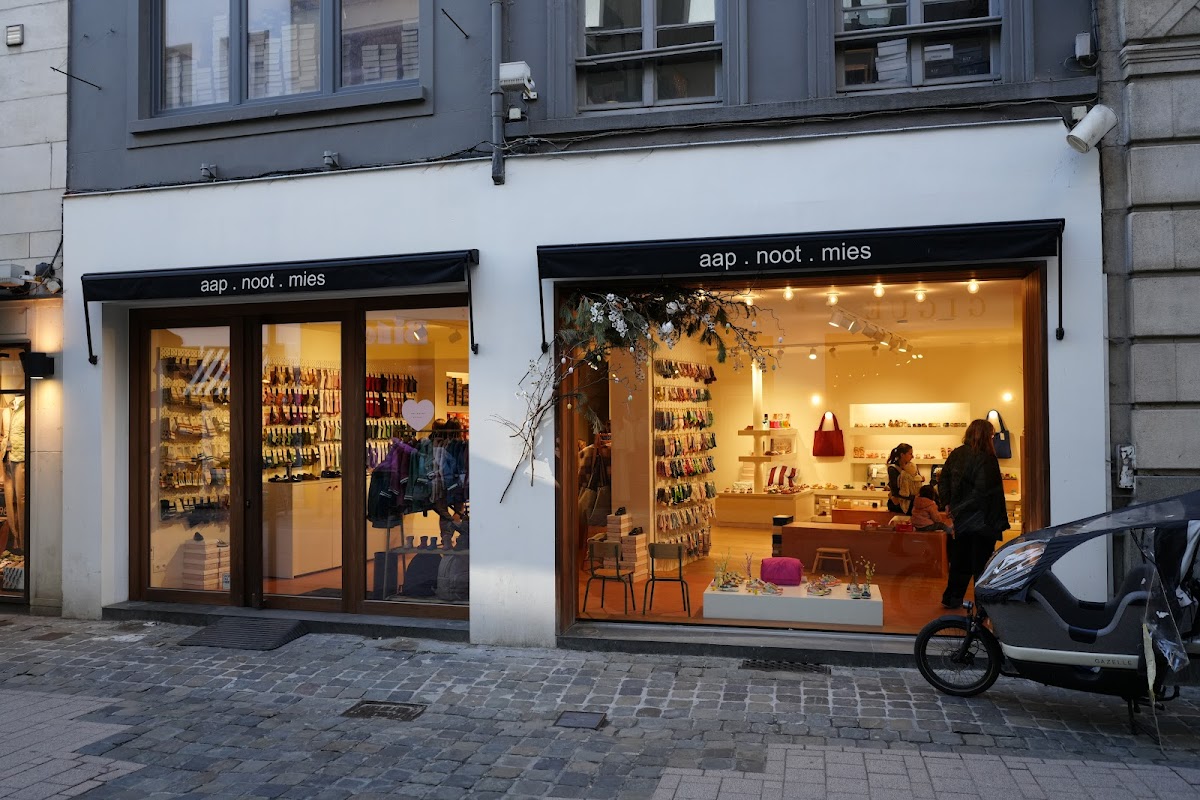 aap . noot . mies kinderschoenen
