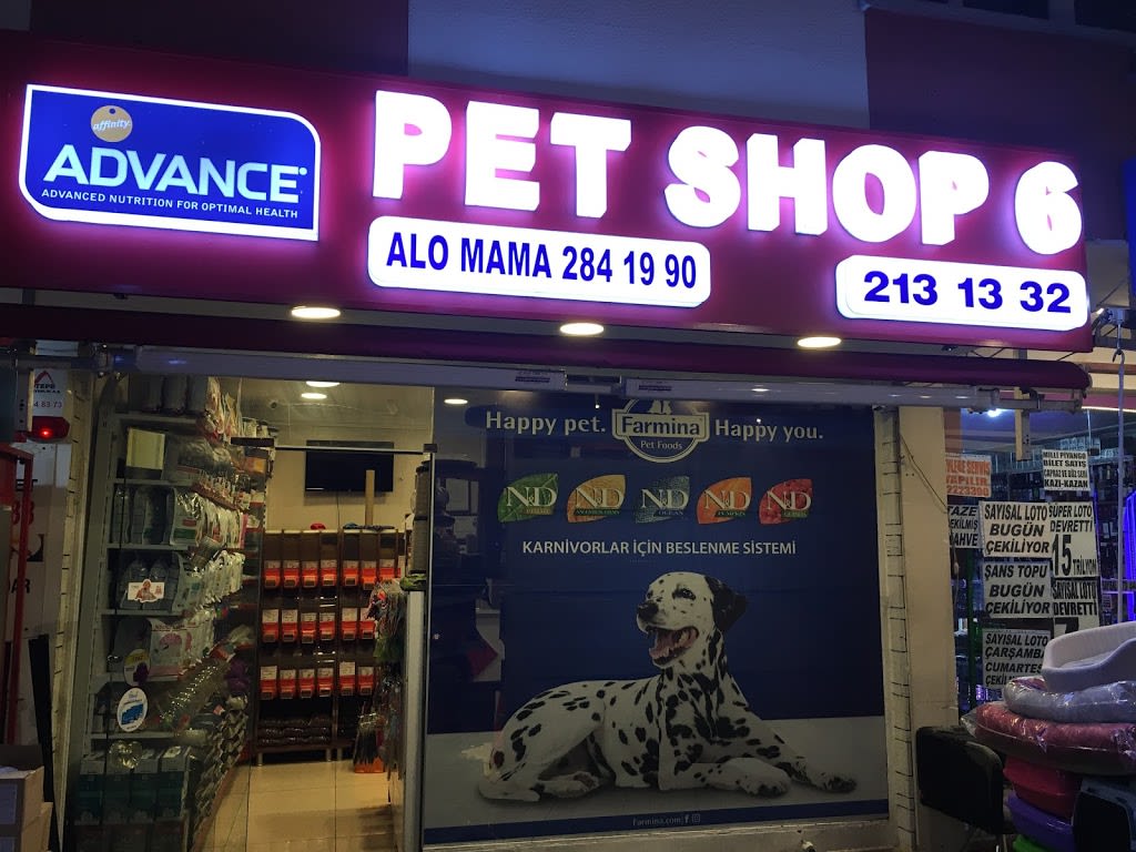 Pet Shop 6