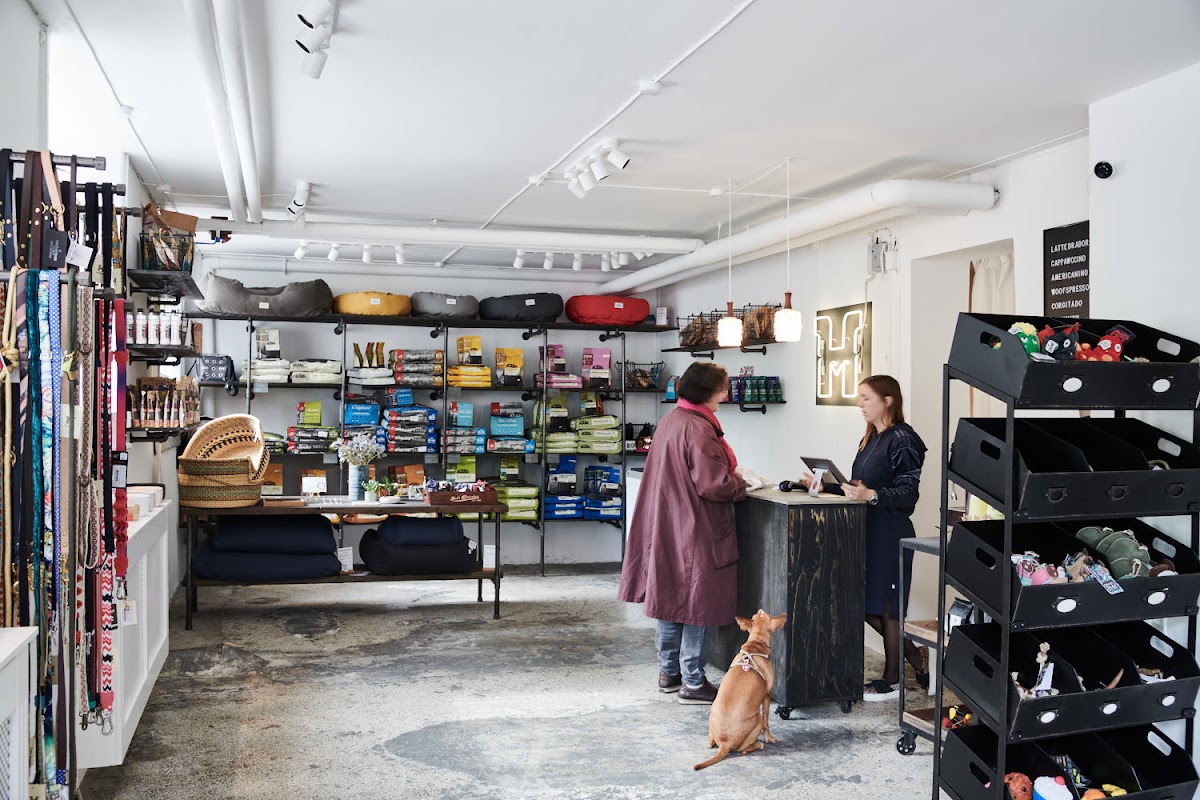 Hunni - Furry friends' shop