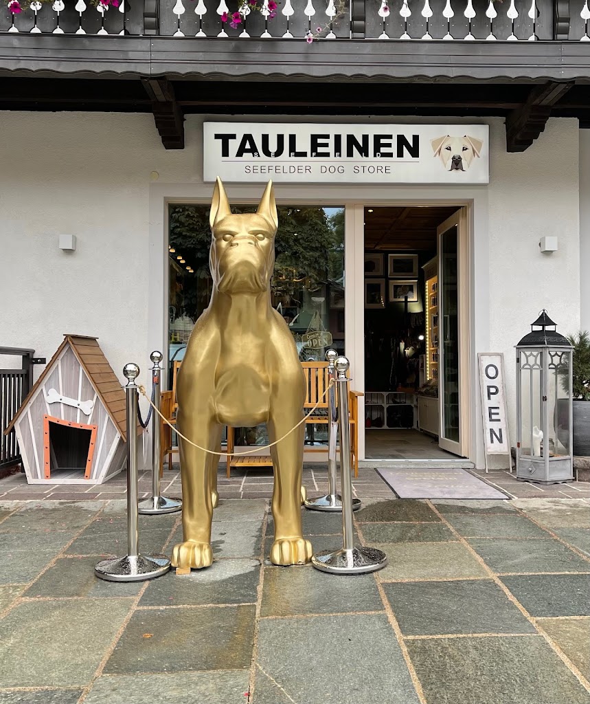 TAULEINEN