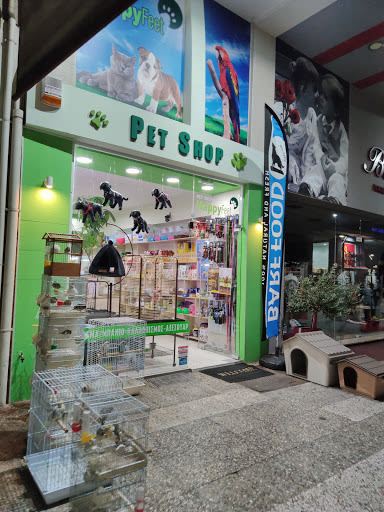 PET SHOP Happy feet