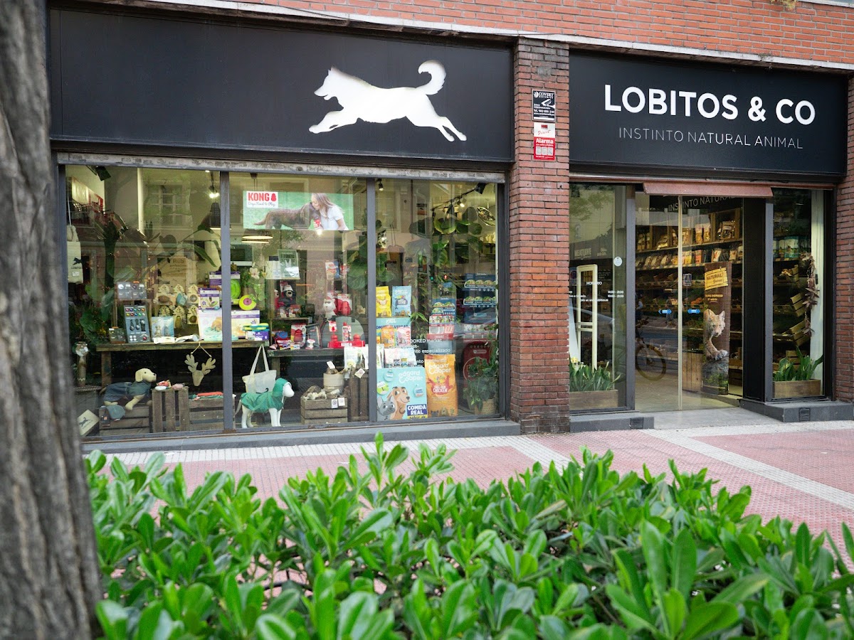 Lobitos&Co