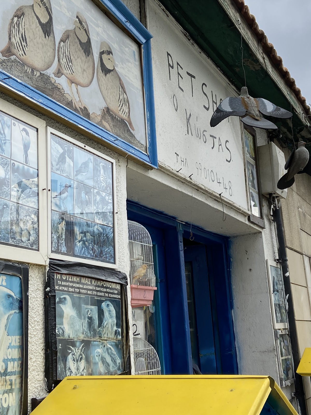 The Pet Shop