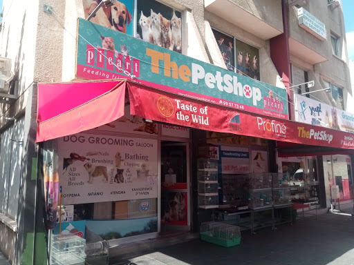 The Pet Shop