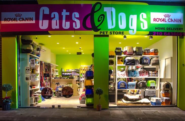 cats and dogs pet shop grooming