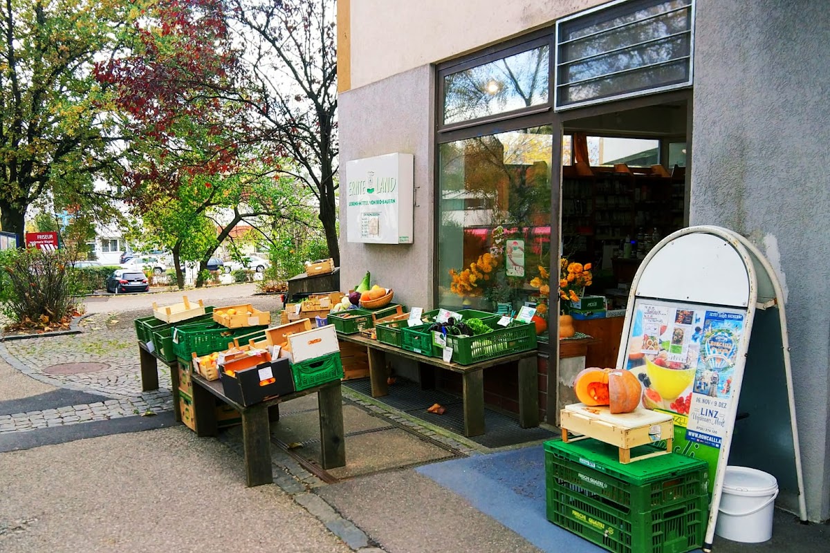 Ernte-Land Lebensmittel von Biobauern