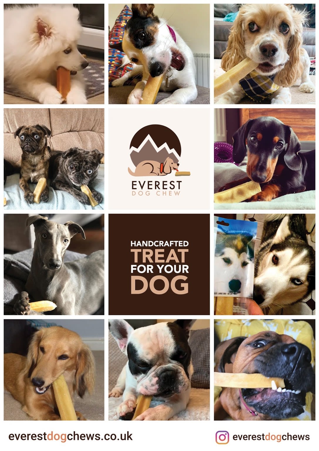 Everest Pet Supply Ltd
