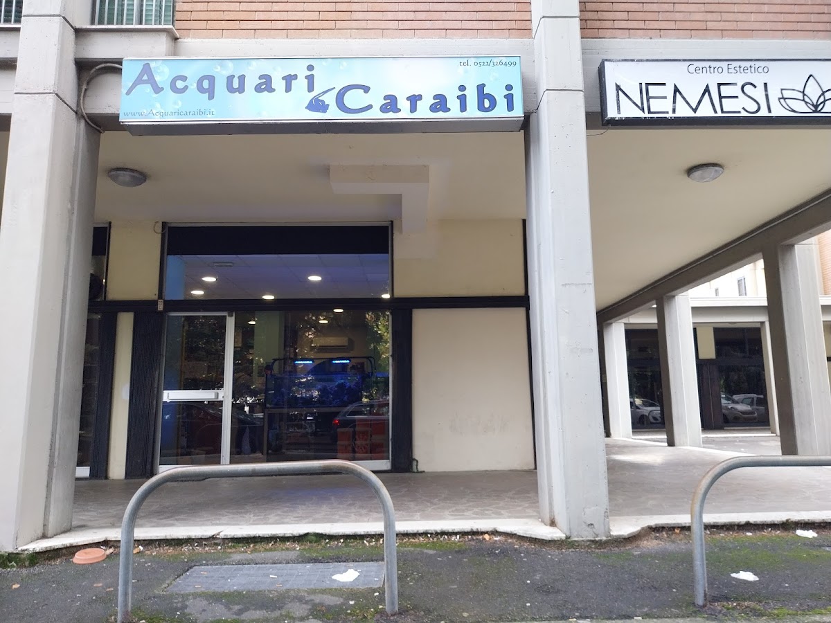 Acquari Caraibi