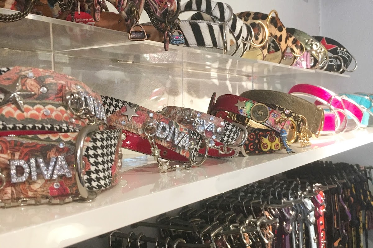 Boutique J'adore my dog