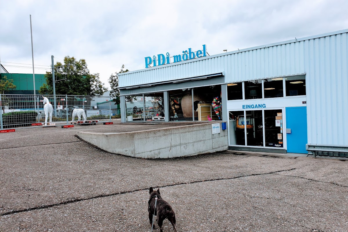 Pidi Möbel AG