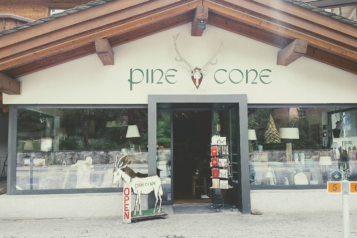 Pine Cone GmbH