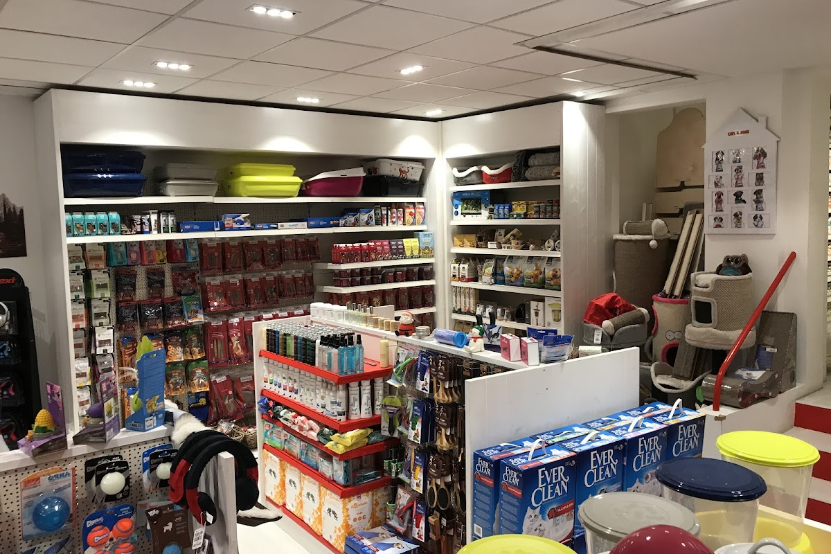 Cats and Dogs Rousseau