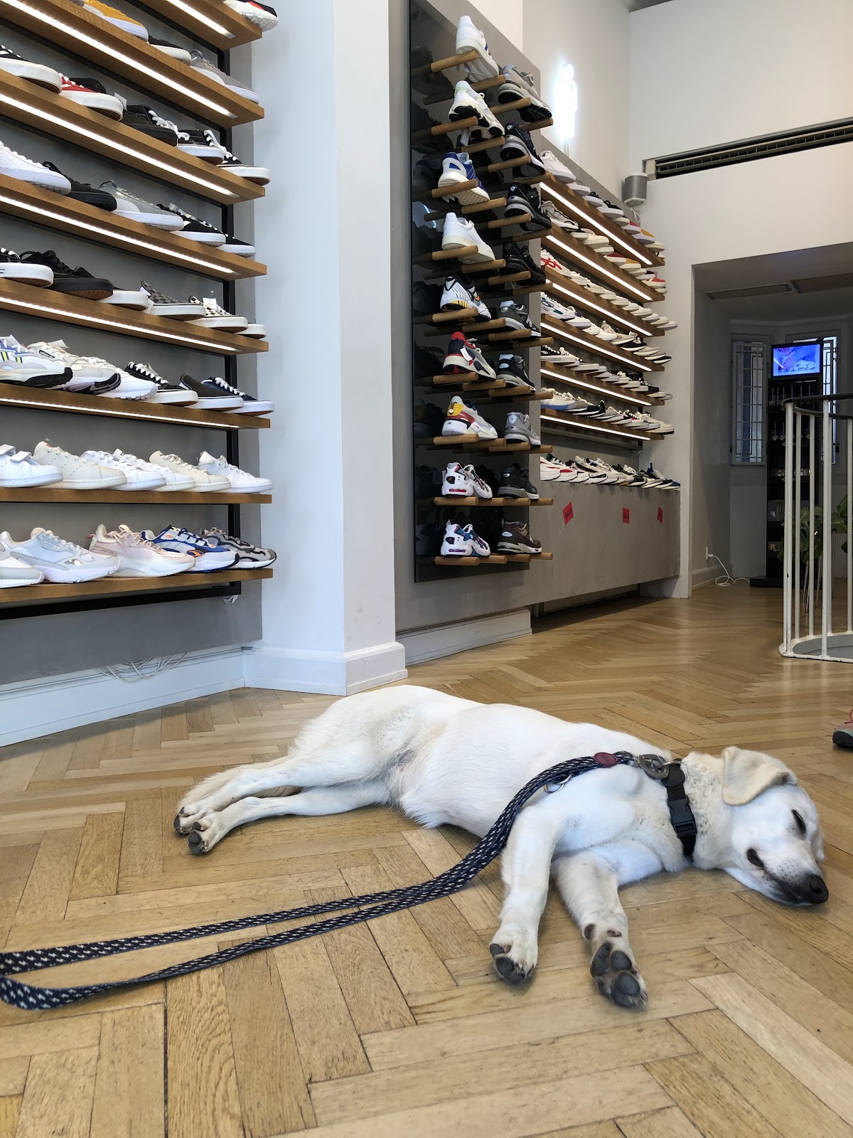 Shoe Chapter