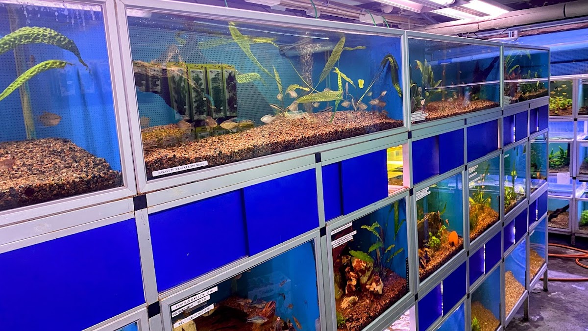 Akvarieservice