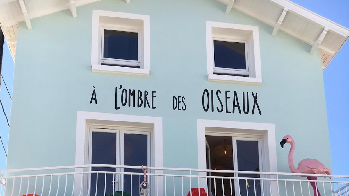 À l'ombre des oiseaux