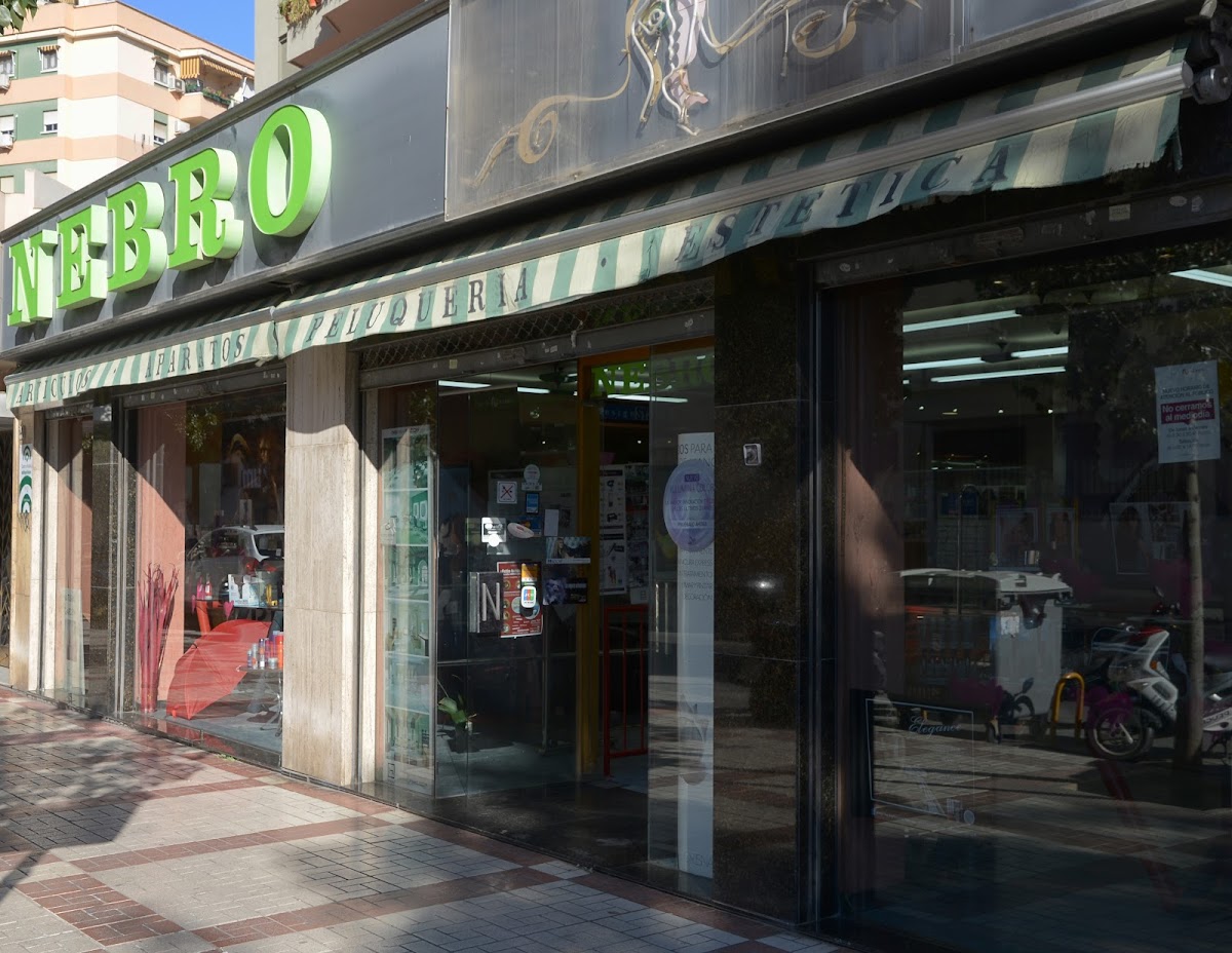 Grupo Nebro