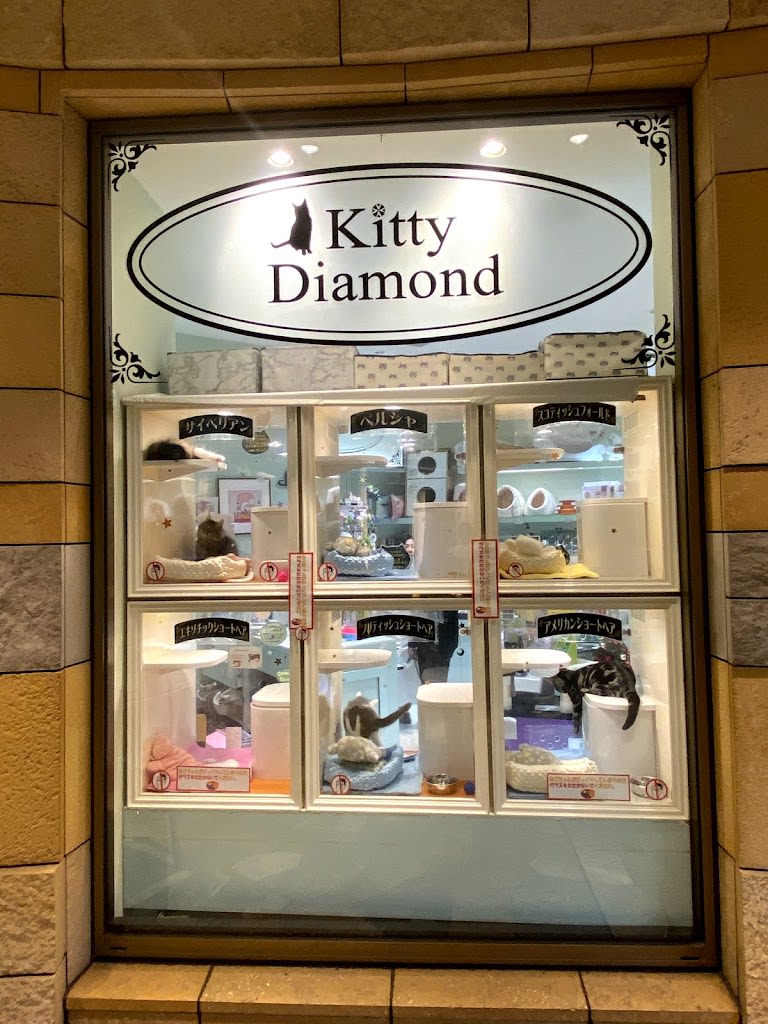 Kitty Diamond