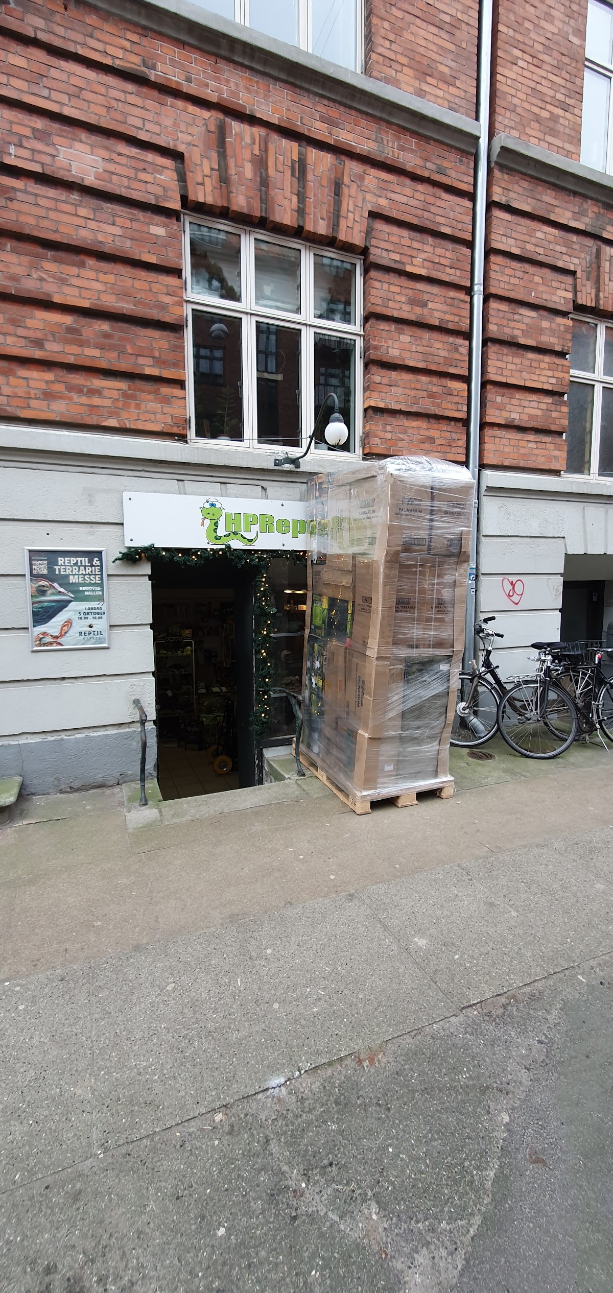 Hpreptiles.Dk