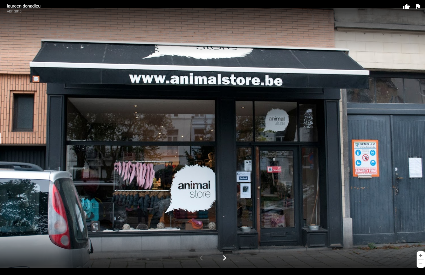 Animal Store