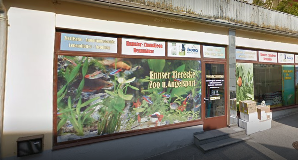 Ennser Tierecke Inh Ing Robert Schindler