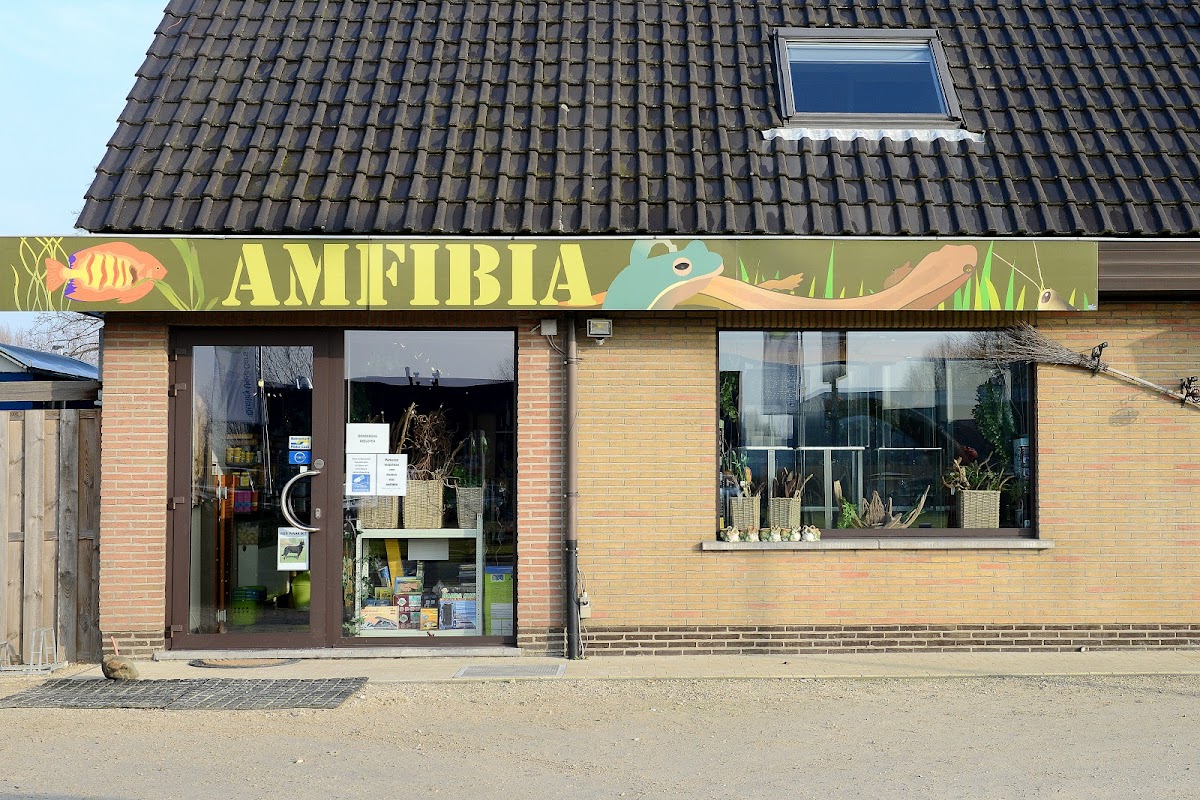 Amfibia BV