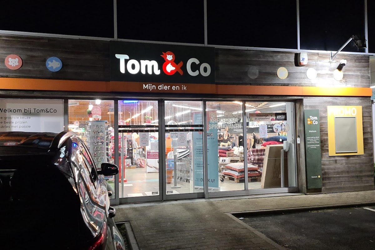 Tom&Co 