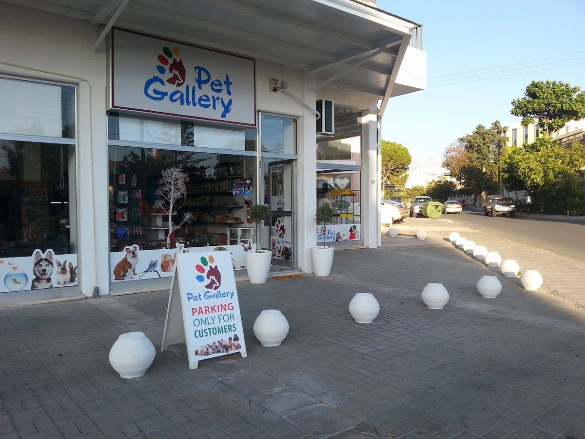 Pet Gallery