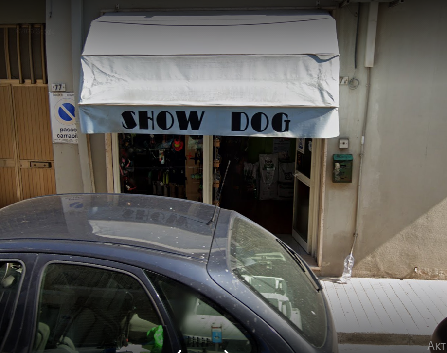 SHOW DOG