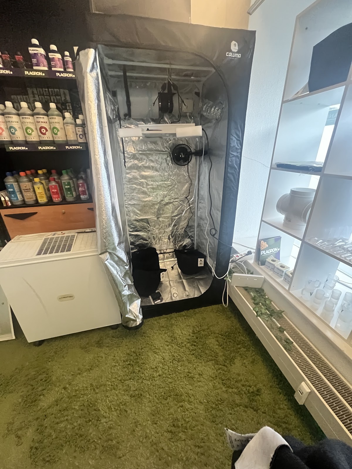 Bonzai Baba Head&Growshop Dornbirn