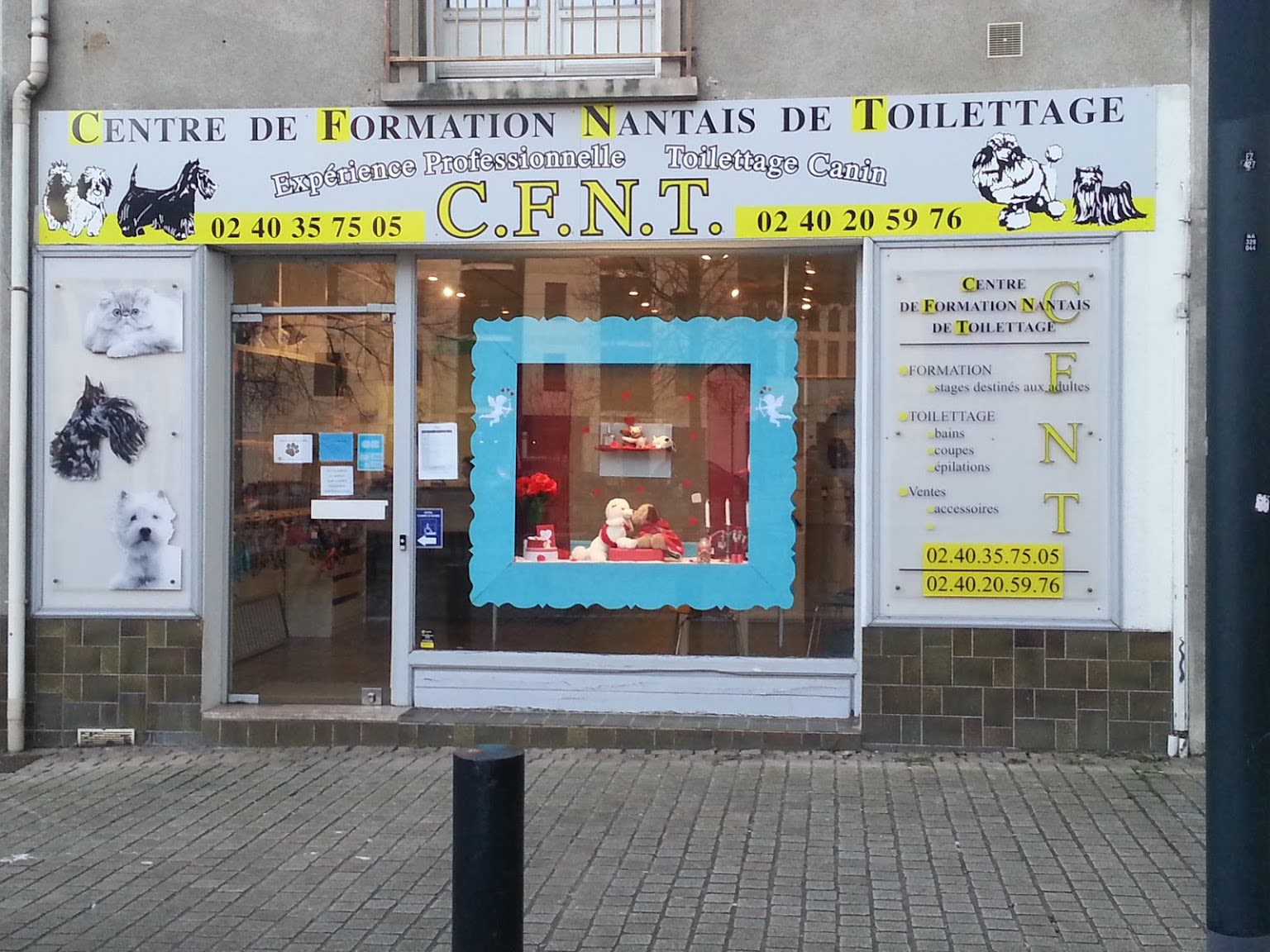 Centre De Formation Nantais De Toilettage C.F.N.T